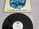 A-HA / AHA / MORTEN HARKET - CRYING IN THE RAIN - BRAZIL RARE 12 VINYL DJ PROMO