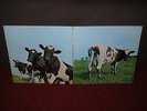 PINK FLOYD Atom Heart Mother LP 1970 HARVEST 1st Press 1G/1G EARLIEST EVER