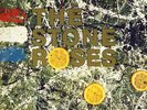 The Stone Roses - The Stone Roses (color vinyl) - MINT
