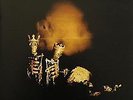 Pearl Jam - RIOT ACT .  VINYL / LP 180gr. RARE