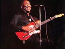 Muddy Waters & The Rolling Stones: Sweet Home Chicago (The Swingin' Pig)