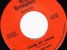 GARAGE 45 RPM - THE MISHAPS on HEMPHILL RECORDS