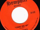 GARAGE 45 RPM - THE MISHAPS on HEMPHILL RECORDS