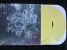 Wildlife * by La Dispute (Vinyl, 2 Discs, No Sleep Records)