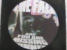 The Fall -Are You Are Missing Winner- limited edition picture disc RARE EX/EX