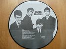 Beatles Silver Beatles Beautiful Picture Disc Made in Denmark 1983 AR 30003 look