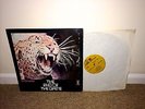 PETER GREEN The End Of The Game LP 1970 UK 1st Press