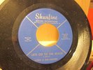 Larry and the Loafers Let's go to the Beach garage 45 on Shurfine mp3