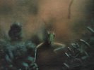 MFSL 007 Steely Dan Katy Lied LP audiophile half speed master Japan pressing nm