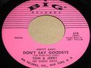 TOM & JERRY Don't Say Goodbye 45 Rockabilly/Teener SIMON & GARFUNKEL NM Listen