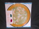BEATLES - The British Are Coming - Interview picture disc  LP w/ 3-D glasses