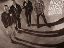 NIGHT BIRDS - Born To Die In Suburbia - LP