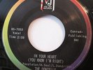 DONTELLS 	VEEJAY 666 	IN YOUR HEART 	M- X 	$60.00 	 B/W NOTHING BUT NOTHING