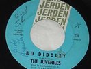 The Juveniles 45 rare garage soul on Jerden 