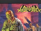 TOXIC HOLOCAUST - hell on earth LP