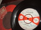 CHORDS FIVE 1967 W1-3044  I AM ONLY DREAMING / SIGNED LABLE  PLEASE READDISCRIPT
