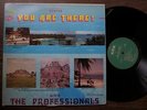 THE PROFESSIONALS You Are The  There CES Belize Island Funk LP HEAR