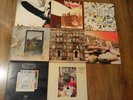 Led Zeppelin Vinyl 8 LPs I  II III V (Zoso),  Physical Graffiti House Of Th