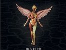 NIRVANA In Utero 2013 Mix 2 LP RECORD STORE DAY RSD BLACK FRIDAY 2013 FREE SHIPP