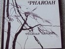 Pharoah Sanders - Pharoah LP - 1977 avant-garde jazz on India Navigation - VG