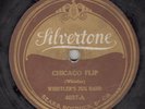 WHISTLER'S JUG BAND - Silvertone 4037 - Chicago Flip / Jerry O' Mine - 78 (1924)