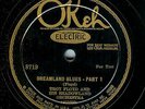 TROY FLOYD - DREAMLAND BLUES - NEAR MINT OKEH 78 RPM