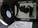 Saccharine Trust ?– Paganicons 12