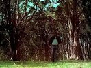 JOHN J FRANCIS - BREAKS,WORKS & THOUGHTS