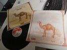 CAMEL MIRAGE 1974 MINT UK 1ST DERAM WITH RFARE INSERT