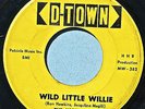 The HESITATIONS 45 Wild Little Willie D-TOWN 1040 VG ORIGINAL 1965 Rockabilly