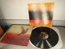 NEW Guster Keep It Together 12
