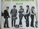 Downliners Sect - I Got Mine Raving 1965 UK R&B  Swedish Press with PS Goget'em.