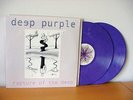 DEEP PURPLE 