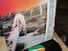 led zeppelin / house of the holy, orig. atlantic, top condition, look pictures