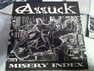 ASSUCK Misery Index 1997 MLP Sound Pollution first press