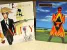 DAVID BOWIE Earthling Green Vinyl LP + Reality Black Vinyl LP LIMITED EDITION