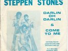 Steppen Stones 