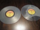THE EVIL ONE Roky Erickson and the Aliens CLEAR VINYL 2LP album OOP Waterloo