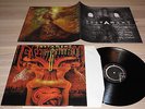 TESTAMENT LP - THE GATHERING / VINYL COLLECTORS GATEFOLD in MINT - RARE