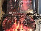 Broken Hope - Grotesque Blessings [Picture LP Vinyl] Top Zustand