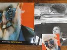 BABY BIRD   THE HAPPIEST MAN ALIVE 1995 UK 1ST PRESS WITH POSTCARD EX CONDITION