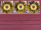 Sun Ray Third Man Jack White Stripes Jerry Lee Orbison DA Hunt NEW