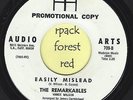 THE REMARKABLES - Easily Mislead - AUDIO ARTS -   7