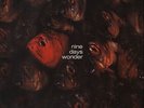 LP:Nine Days Wonder,Nine Days Wonder[NM] (Bellaphon)