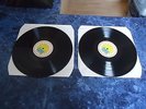 Brian Wilson Smile Vinyl 2 x 180gram LP