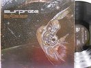 Private Cosmic Psych Prog | THIS ONENESS | Surprize | LP | Synth Jazz Funk