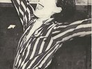 MAXIMUM JOY Stretch 7