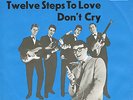 BRIAN POOLE & THE TREMELOES * Twelve Steps To Love * Deutsche Beat 45 PS