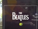 Beatles Remastered Stereo Vinyl 16 Record  Box Set - LPS Sealed