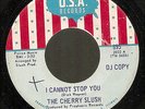 The Cherry Slush - I Cannot Stop You - USA - 1967 Fuzz Psych 45 - Boulders - VG+